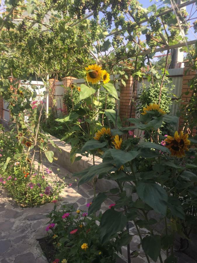 Ferienwohnung Oasis Aspindza Exterior foto