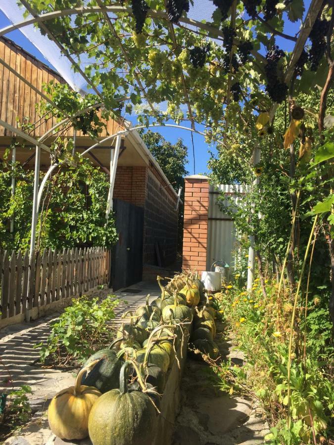 Ferienwohnung Oasis Aspindza Exterior foto